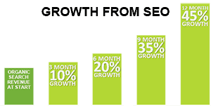 how long does it take to see SEO results